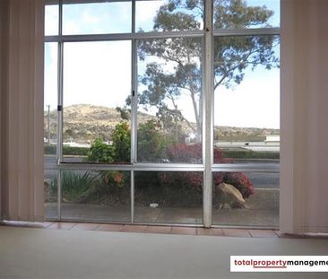 61/4 Wilkins Street, Mawson ACT 2607 - Apartment For Rent | Domain - Photo 3