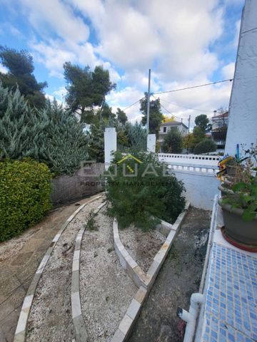 Μονοκατοικία για ενοικίαση Ρέα (Δροσιά) - Photo 2