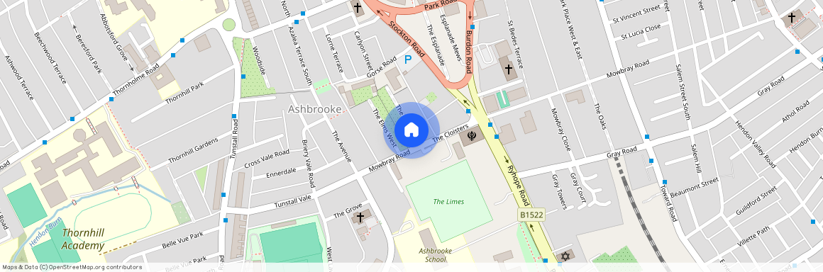 The Elms, Ashbrooke, Sunderland