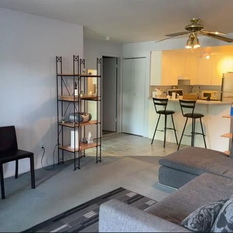 375 Av. du Mont Royal O. - Photo 1