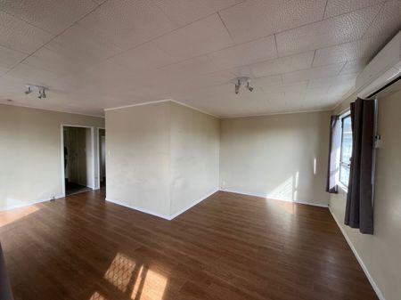 2 Zircon Place, Wiri, Auckland - Photo 3