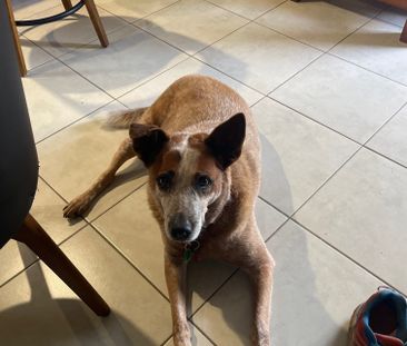 Gordonvale - Photo 3