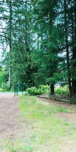 comfortable one level house with Acres near mission town center - Photo 3