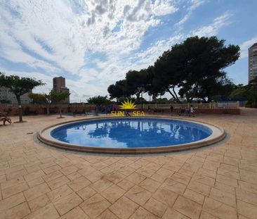 2-BEDROOM APARTMENT - EL CAMPELLO - Photo 3
