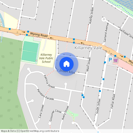 13 Cuthbert Road, NSW 2261, Killarney Vale