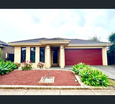 2 Fawn Street, Wyndham Vale, Vic 3024 - Photo 2