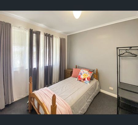 113 Kaolin Street, Broken Hill, NSW 2880 - Photo 4