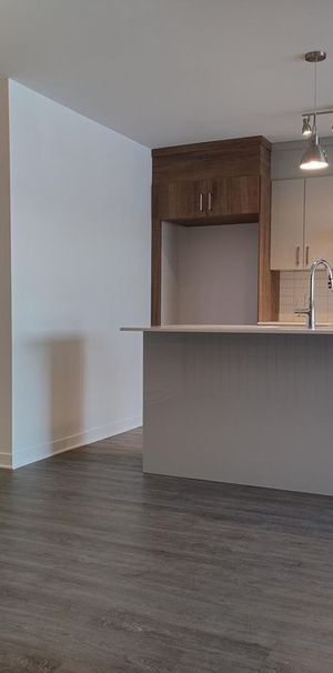 Spacieux/Neuf 4 ½ Avec 2 SDB à Louer - Photo 1