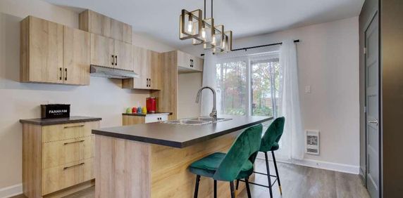 4-1/2 à louer FARNHAM - Photo 2