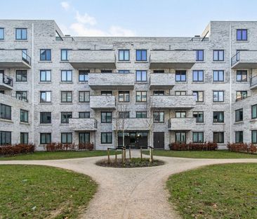 Palladiostraat 5, Prinsenland, 3066AH, Rotterdam - Foto 4