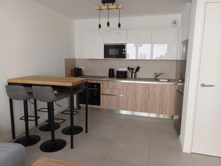 Location Appartement 2 pièces Meublé 44m² ANNECY 74000 - Photo 4
