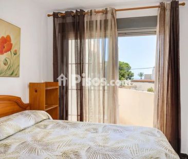 Apartamento en alquiler en Torrevieja - Photo 5