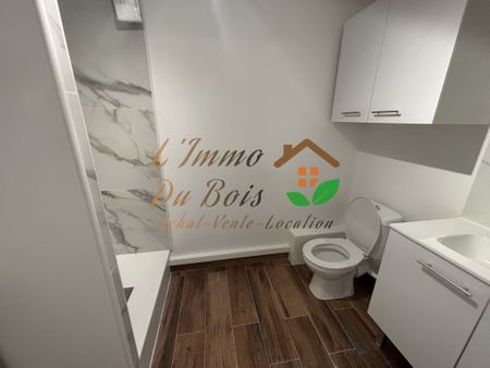 Location Appartement 3 pièces 49m² CHANAS 38150 - Photo 4
