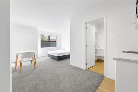 Recently renovated studio units just a short walk away from the Grey Street Shops and Cafes. - Photo 2
