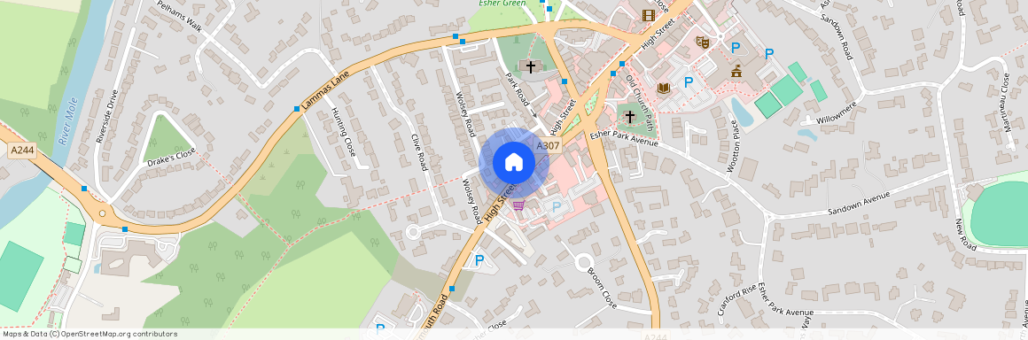 High Street, 110 High Street, KT10