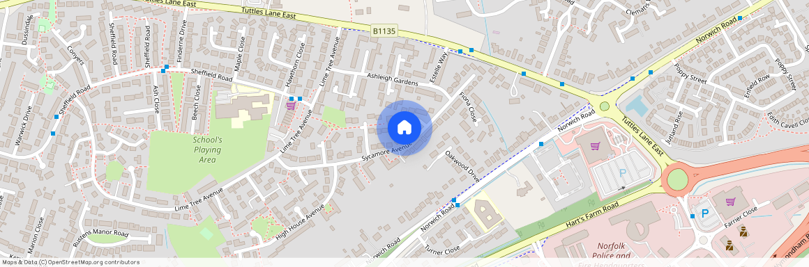 Sycamore Avenue, Wymondham