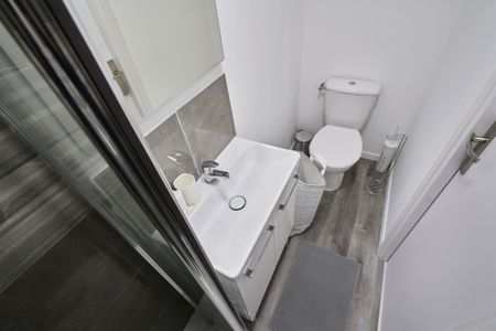 DENIS DU PEAGE Colocation 5 chambres à Lille - Photo 5