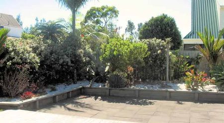 PURIRI PLACE - SUNNY AND SPACIOUS - Photo 5