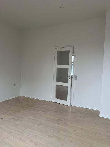 Nørregade 22A 1. TV 7800 Skive - Photo 4