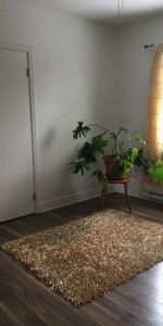 4 1/2 à louer à Saint-Basile-le-Grand, J3N, près de la mairie - Photo 3