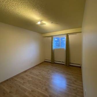 2-Bedroom Suite with in-unit Laundry near Stadium Edmonton LRT Station - Photo 4