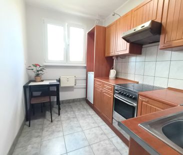 Duże 2-pokojowe mieszkanie na wynajem, pow. 47 m2. - Фото 3