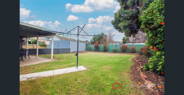 24 Waratah Street, Kooringal - Photo 1