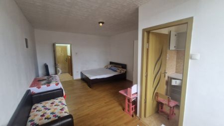 PACII- GARSONIERA CONFORT 1 - Fotografie 5