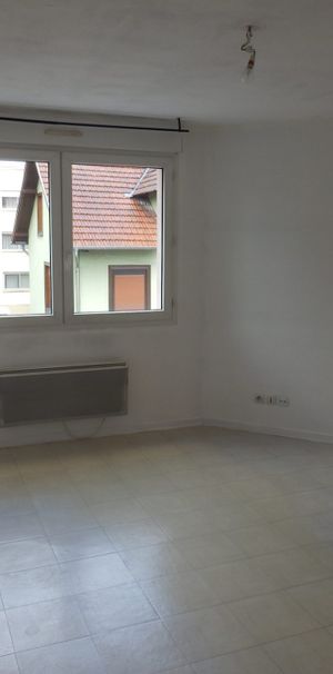 Location Appartement 1 pièce 25m² STRASBOURG 67100 - Photo 1