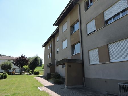 Wohnglück auf 2.5 Zimmern ideal für Singles & Paare! - Photo 5