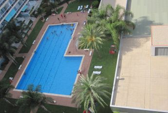 Flat - Gandia (Playa de Gandia)