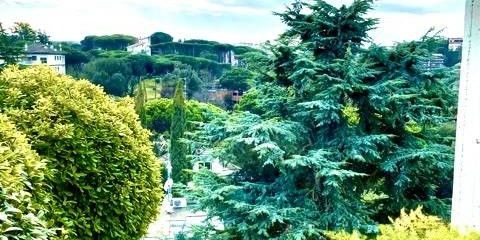 Via Della Camilluccia, Roma, Lazio 00135 - Photo 3