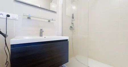 Schaerbeek - Appartement 1ch + terrasse - Foto 4