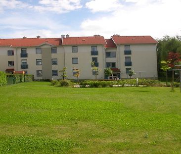 HOLLABRUNN XII/3 - Photo 5