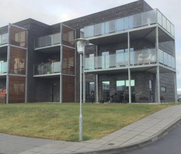 Rummelig lejlighed med terrasse i moderne ejendom - Photo 4