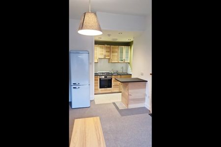 1 Bed Flat, Downfield Place, EH11 - Photo 3