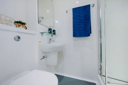 Standard Studio - Photo 4