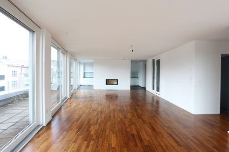 Penthouse-Wohnung über den Dächern von Basel - Photo 3