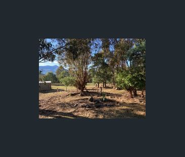 Peaceful Living with Beautiful Bush Outlook - Photo 5