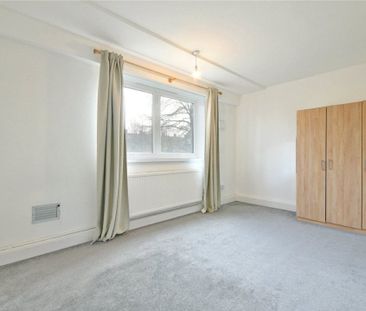 Springfield Lane - Photo 1