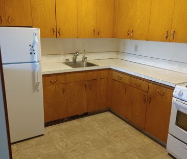 117 Procter Pl, Regina - Photo 3