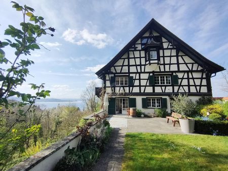 MAJESTIC, GENEROUS WITH A VIEW - Foto 4