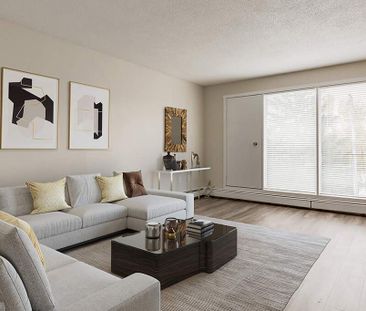 Renovated Suite - 1 Bedroom - Photo 2