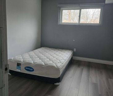 For Lease - 6497 Charnwood Avenue, Niagara Falls, Ontario - Photo 5