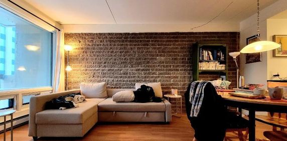 Appartement 3 ½ à louer Montcalm / Saint-Sacrement juillet 2026 - Photo 2