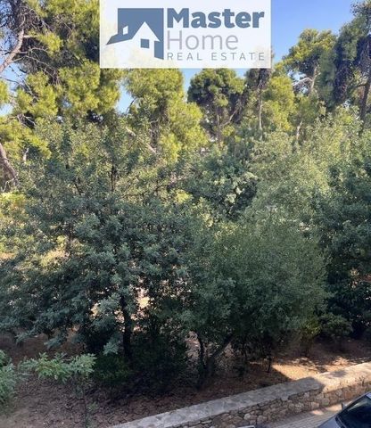 Διαμέρισμα για ενοικίαση Ιλίσια - Φωτογραφία 3