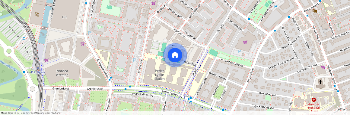 Birketinget 6, Kopenhagen