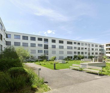 2.5 Zimmer Wohnung - Photo 4