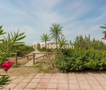 Piso en alquiler en Avenida de los Jardines de las Golondrinas - Photo 6