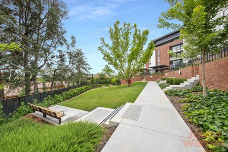 29/7 Light Street, Griffith ACT 2603 - Apartment For Rent | Domain - Photo 2